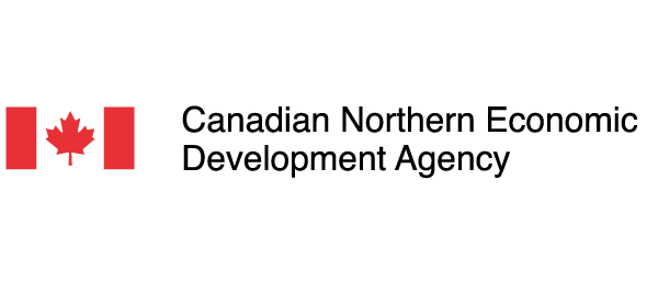 CNEDA-logo
