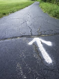 White arrow painted on asphalt path in park (foreground focus)