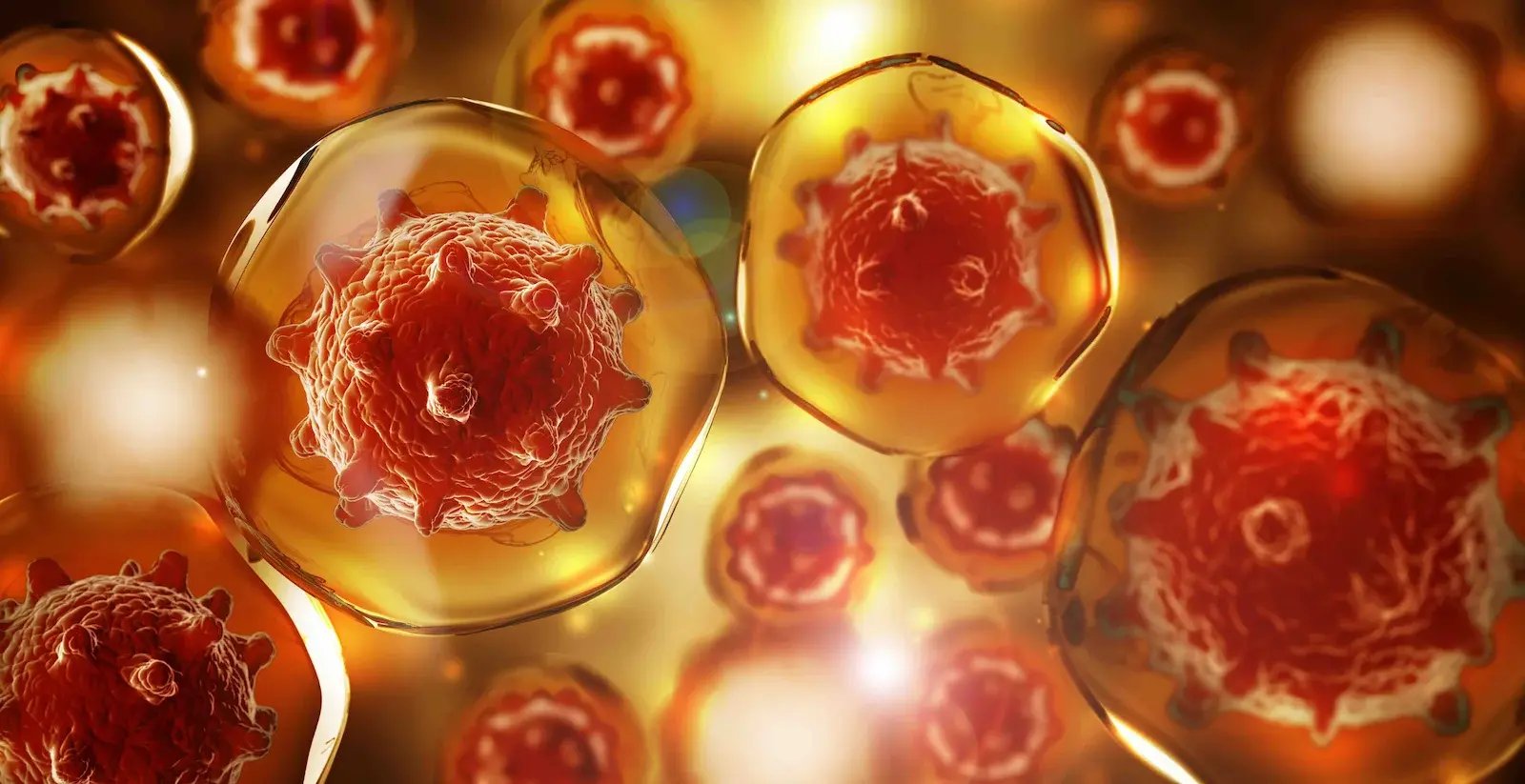 Viral Cells in Fluid