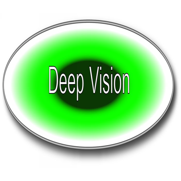 Deep-Vision-Logo-700x700