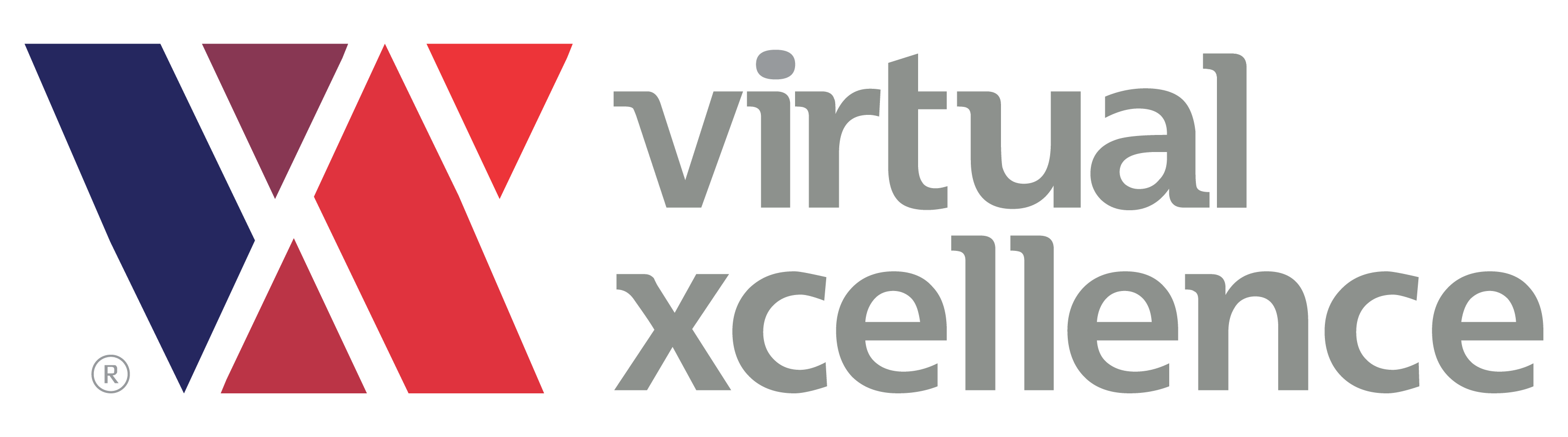 Virtual Xcellence Canada Inc