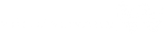 Virtualware Canada Inc