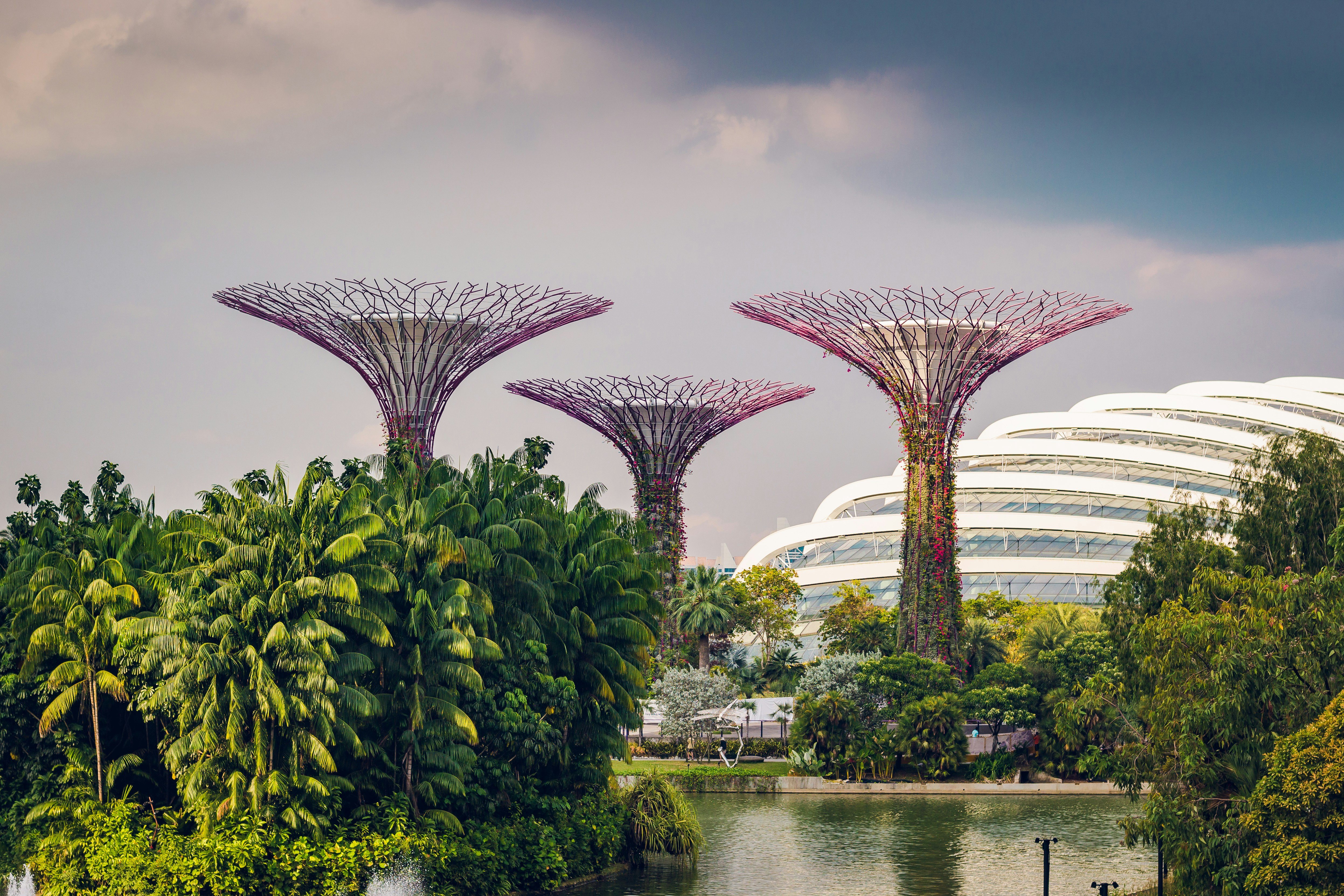 Cleantech + Advanced Materials Innovation Mission to Singapore